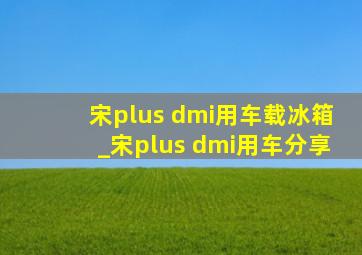 宋plus dmi用车载冰箱_宋plus dmi用车分享